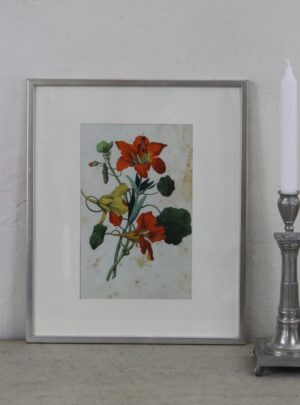 Hand-colored print from the beginning of the 1800's in fine "silver frame"