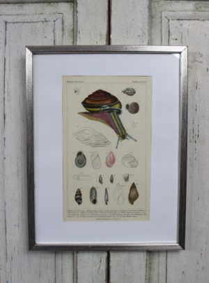 Nice hand-colored 19th-century print in silver frame.
