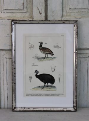 Beautiful hand-colored print in the French silver frame from the 1800's.